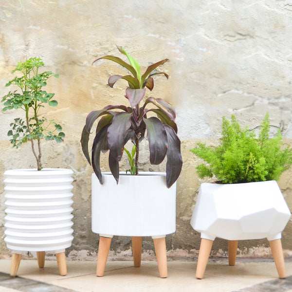 Wooden Plant Stand - Indoor planters and flower pots | Home decor items