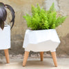 Wooden Plant Stand - Indoor planters and flower pots | Home decor items